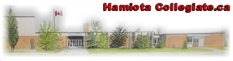 Hamiotacollegiate